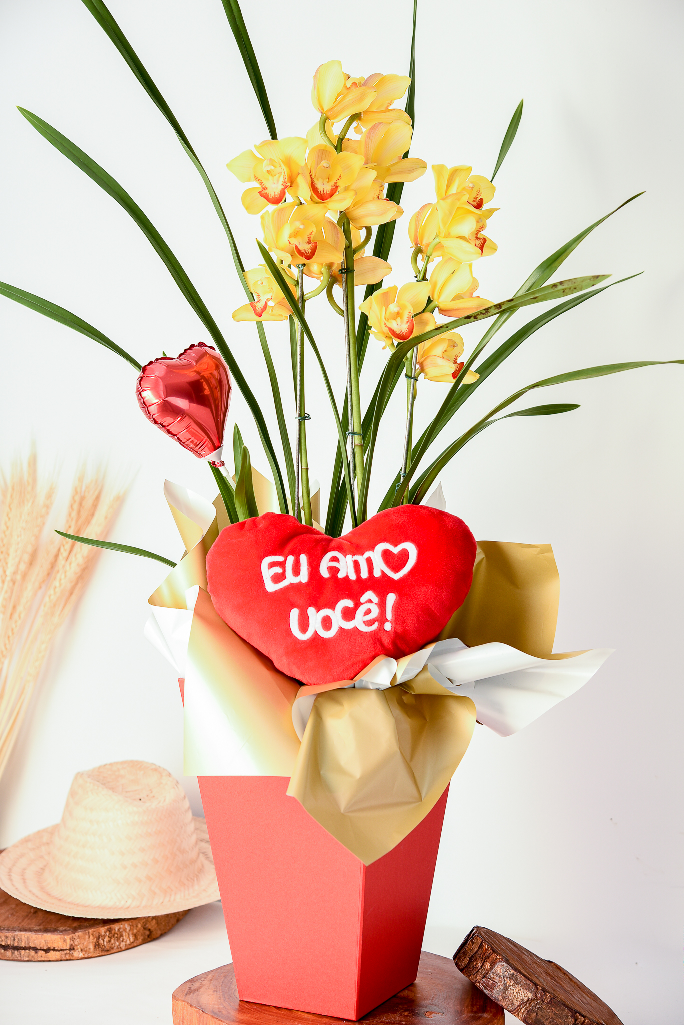 Orquídea Raio de Sol - Imagem 3